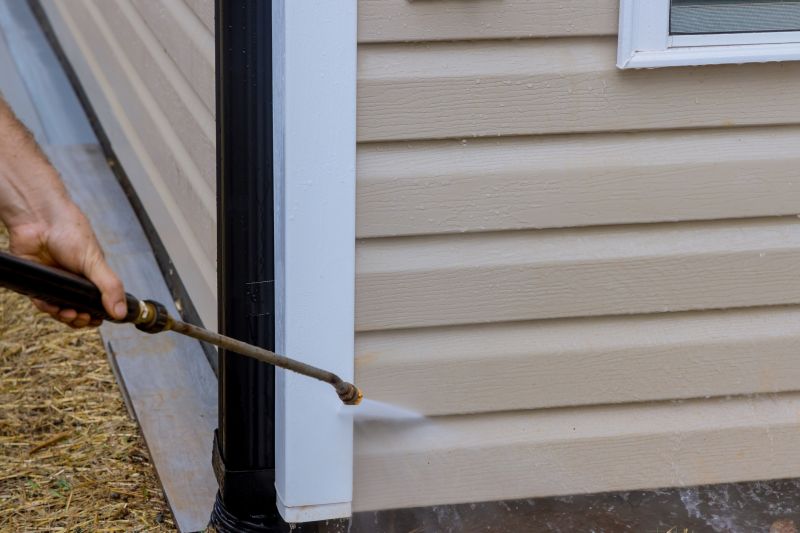 Vinyl Siding Cleaning