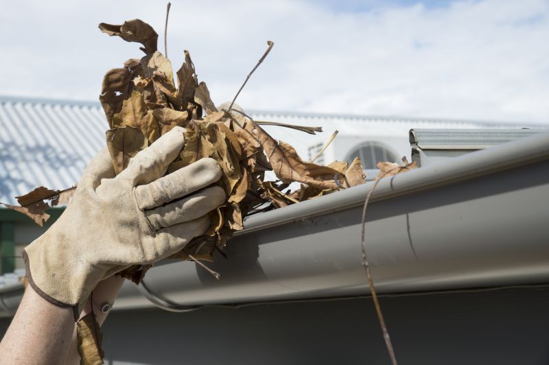 Gutter Leaves Removal in Baltimore, MD