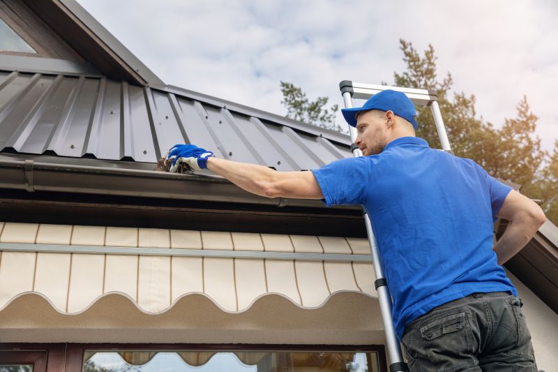 Roof Gutter Cleaning in Fredericksburg, VA