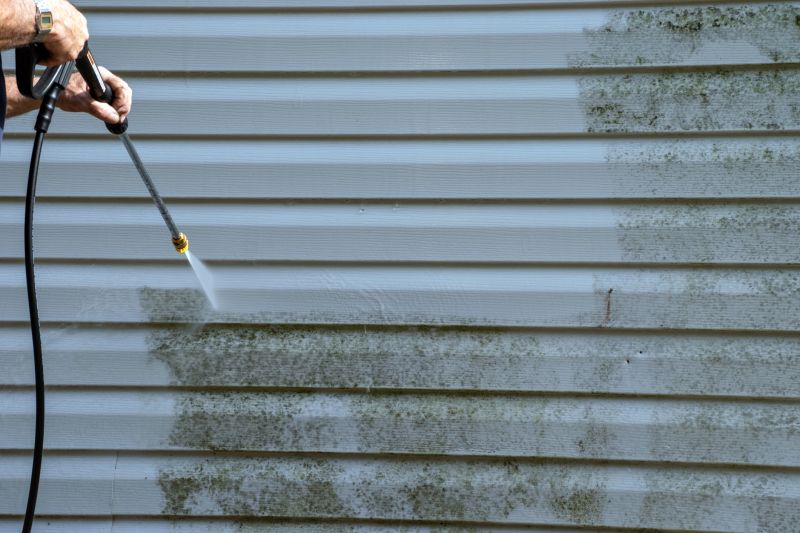 Mildew Removal on Vinyl Siding